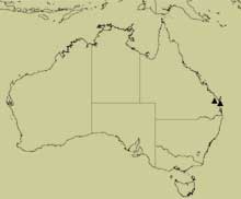 distribution map for cooloola