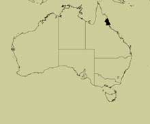 distribution map for magnopunctatus