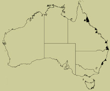 distribution map for quadrimaculata