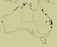 distribution map for acaciae