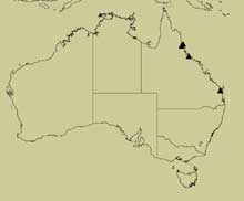 distribution map for cassicula