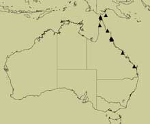 distribution map for gibbosa