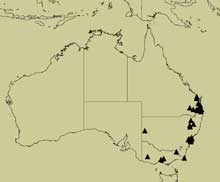 distribution map for subviridis