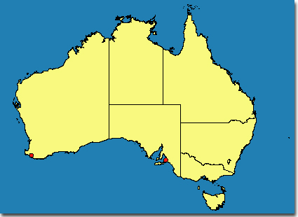 Distribution Encarsia ustulata